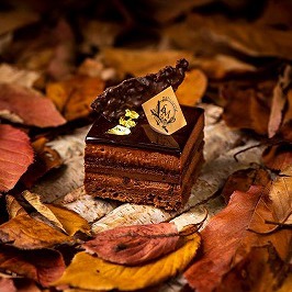 イチオシ商品